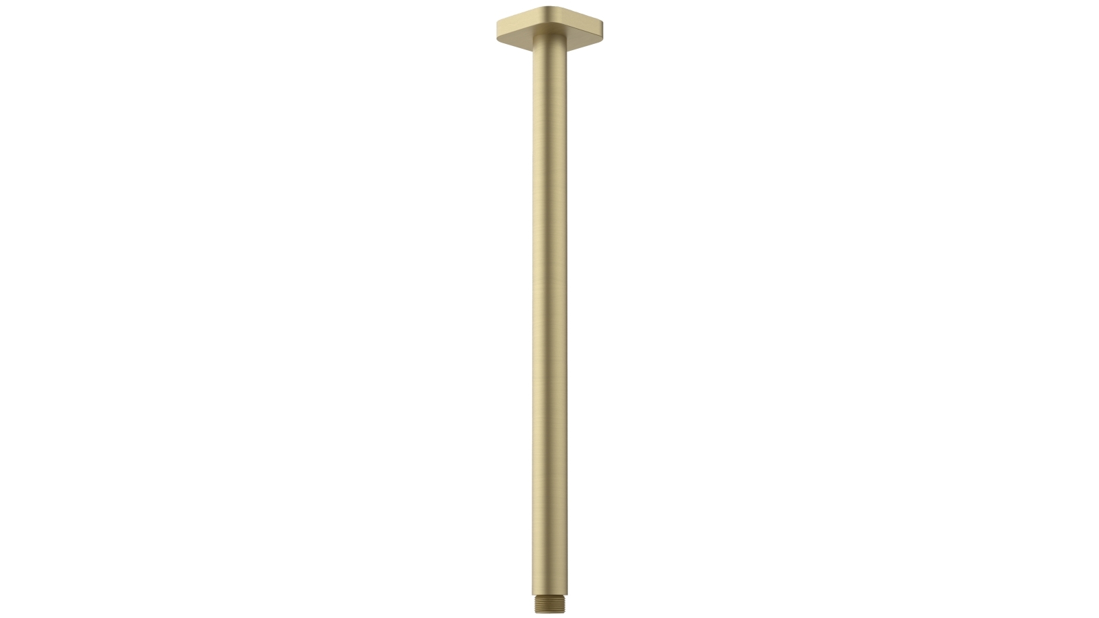 Caroma Luna 410mm Straight Arm Flange - Brushed Brass