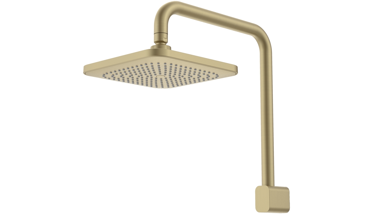 Caroma Fixed Overhead Shower - Brushed Brass
