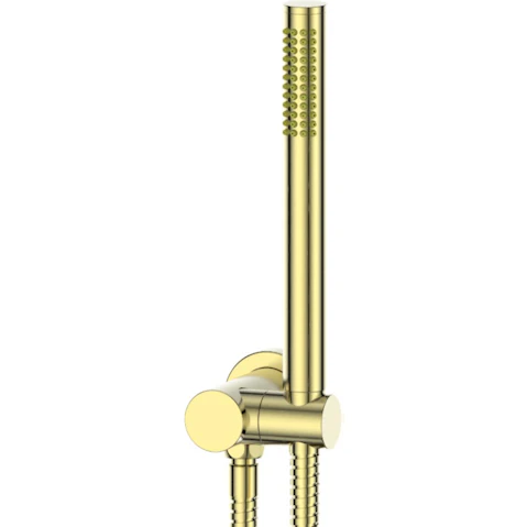 Greens Rocco Pin Hand Shower - Brushed Brass
