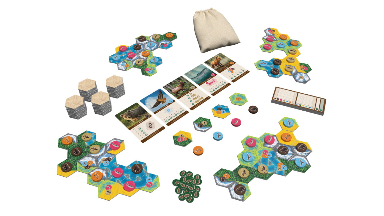 Cascadia Board Game