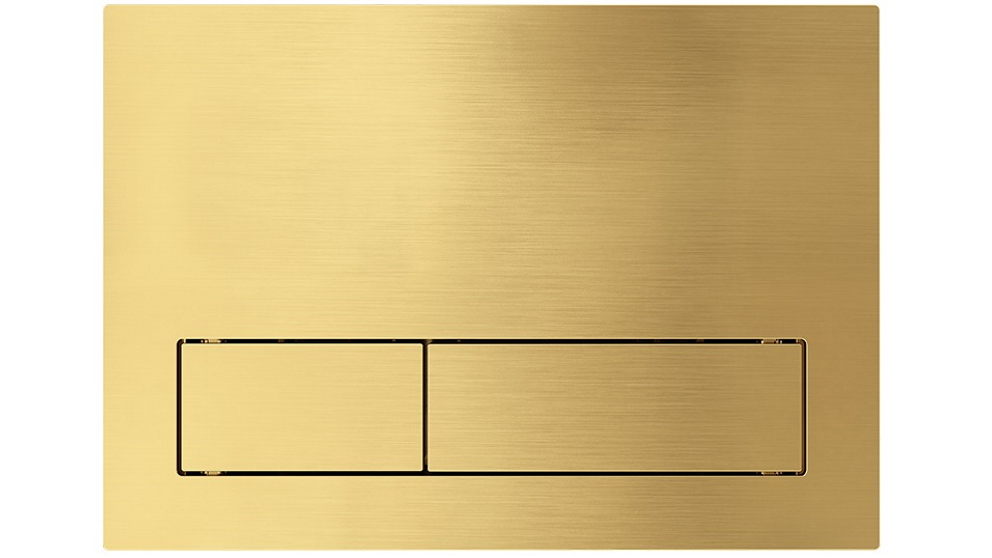 Argent 150S Flush Plate for ViConnect Mechanical - Brushed Gold