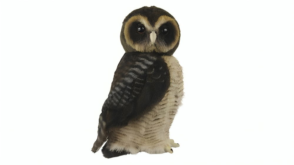 Latest Buys Asian Brown Wood Owl Plush Toy - 28cm