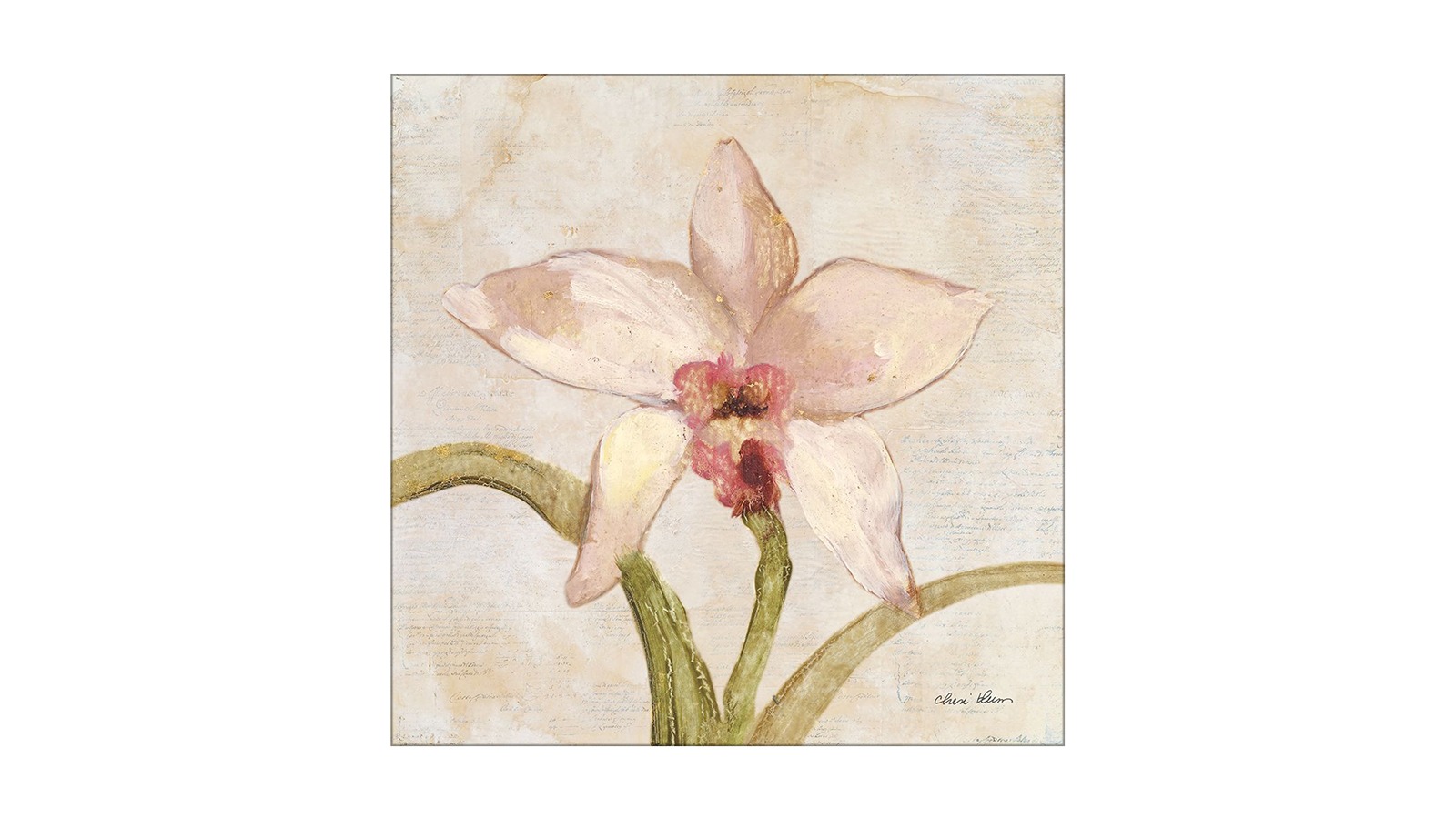La Grolla Orchid I Unframed Canvas Wall Art