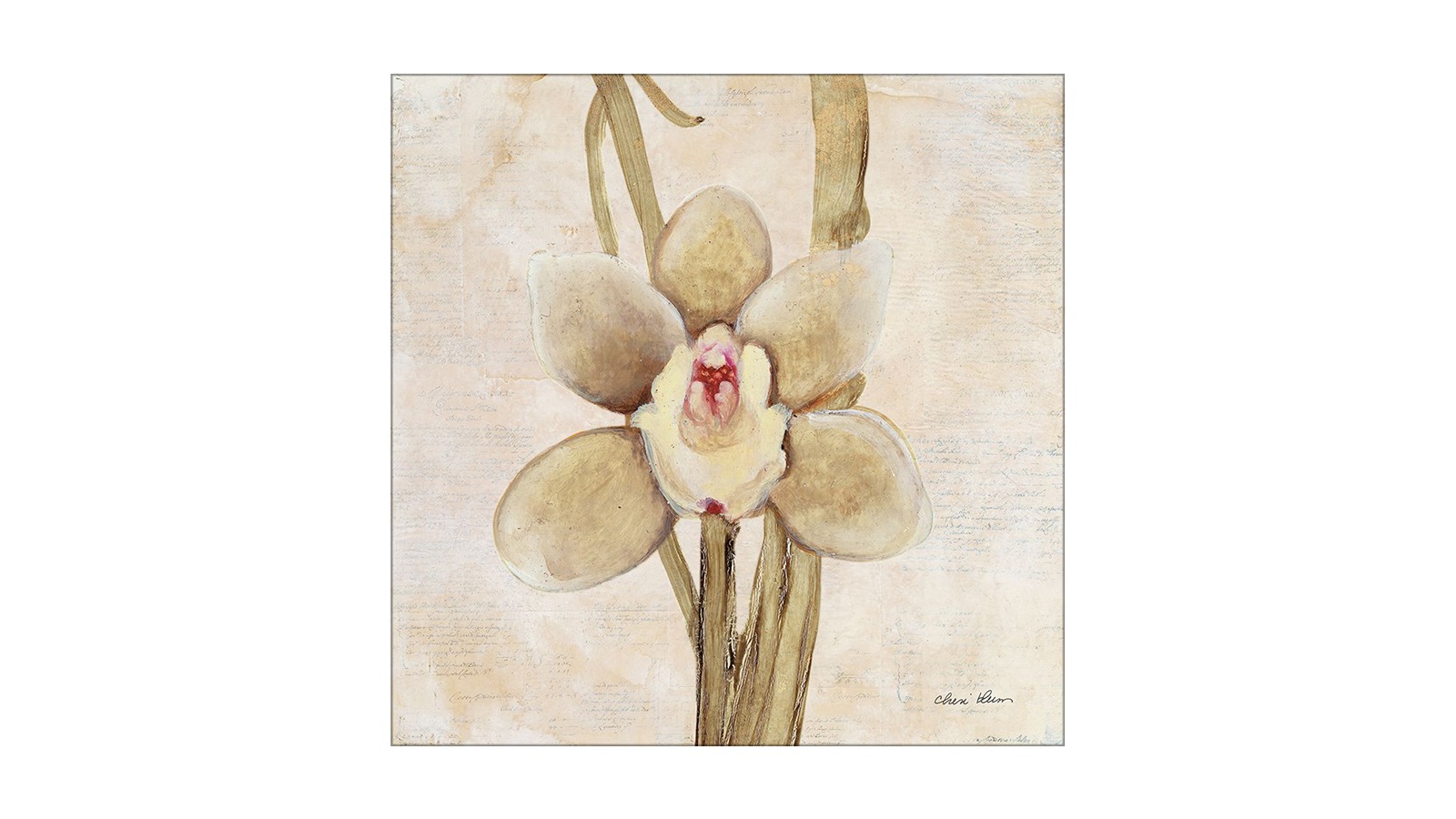 La Grolla Orchid II Unframed Canvas Wall Art