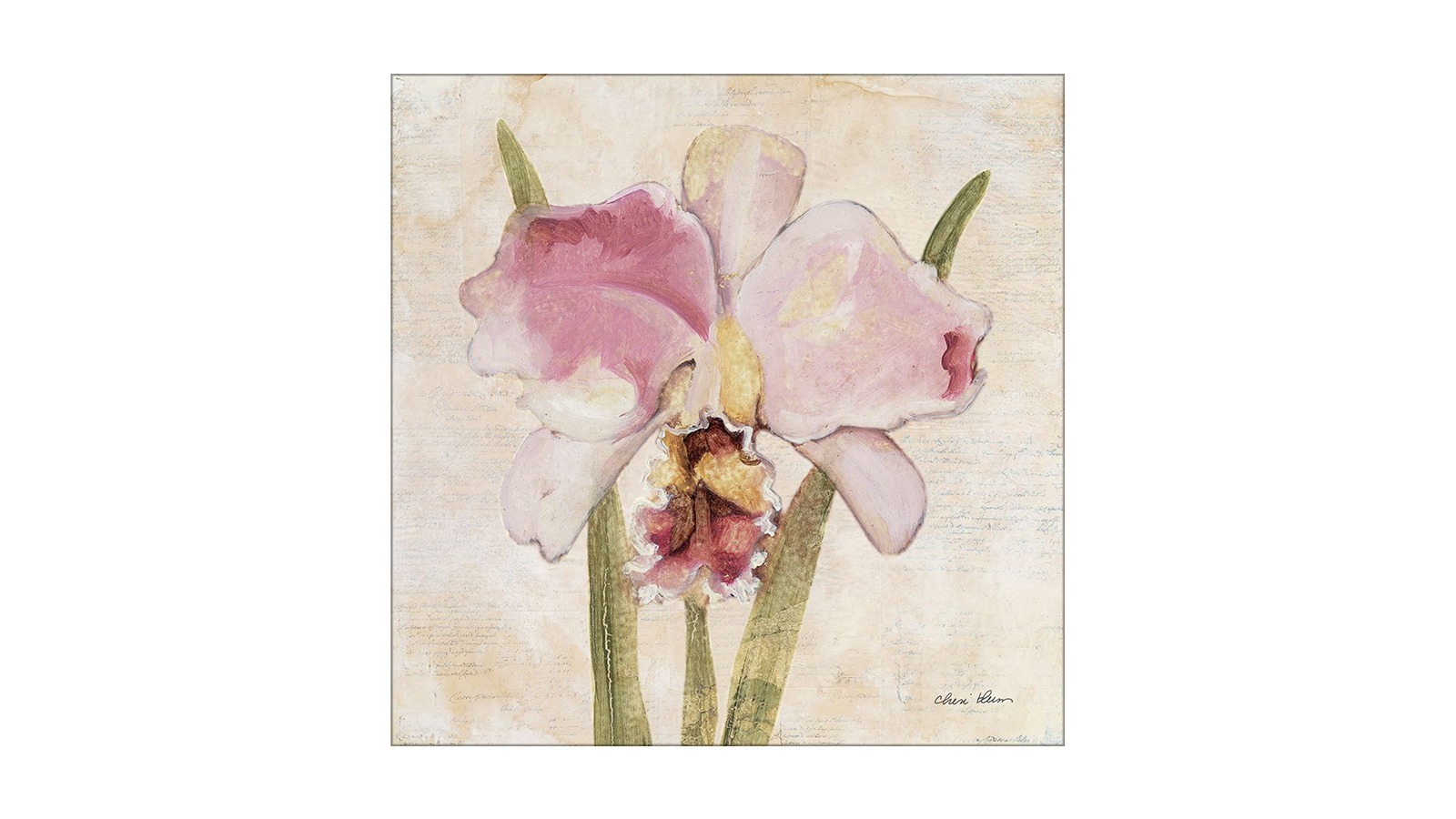 La Grolla Orchid VI Unframed Canvas Wall Art