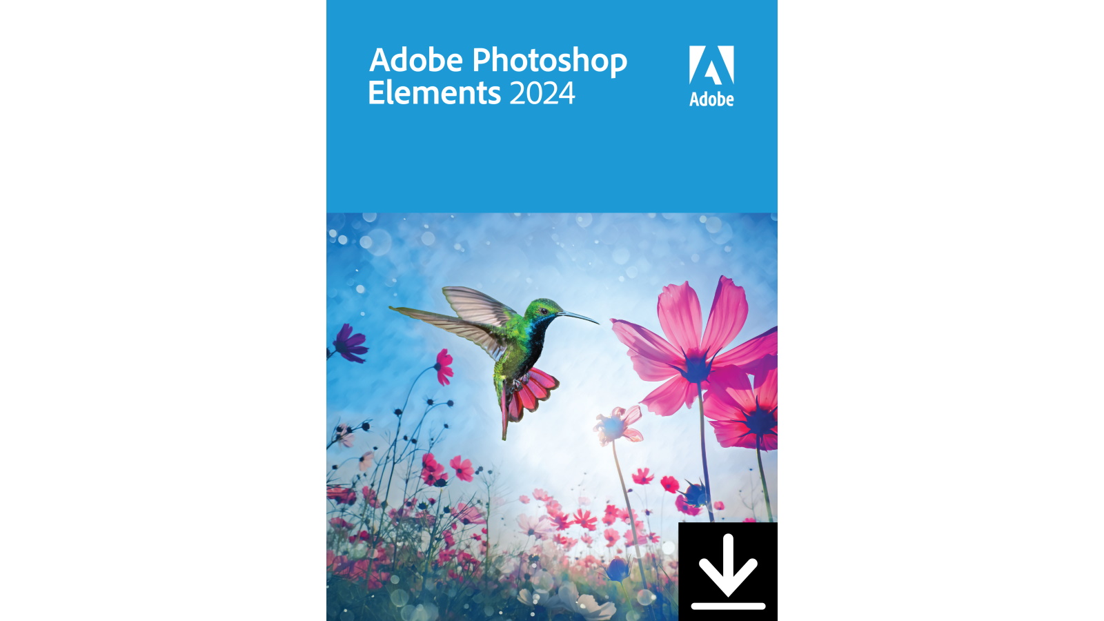 Adobe Elements 2024 for Windows Harvey Norman