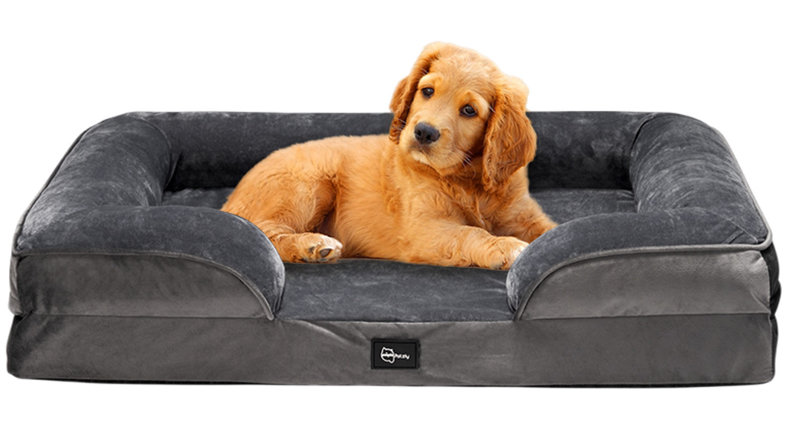 Petzly Dog Bed with Sides Egg-Crate Foam - Medium