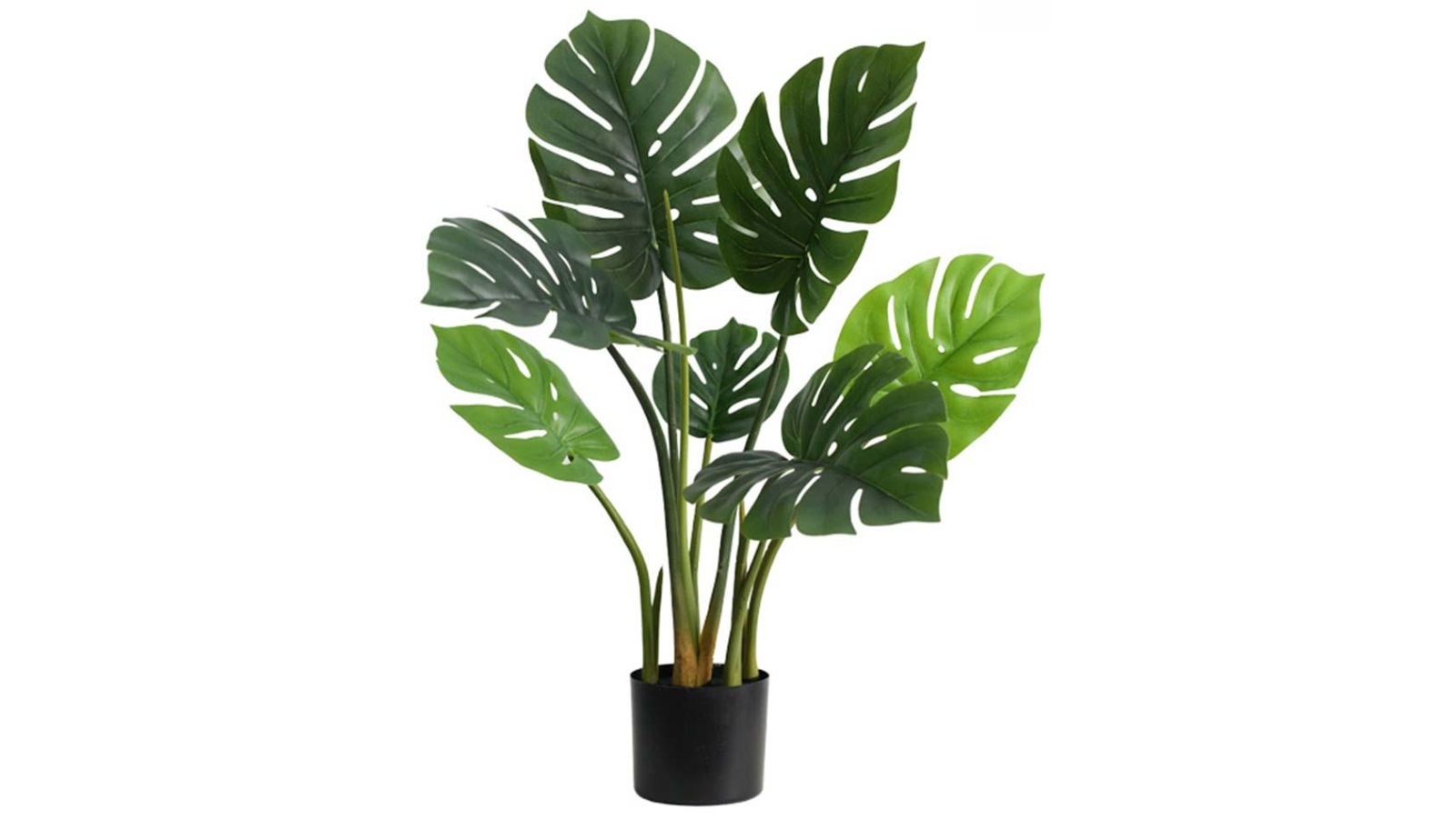 SOGA Artificial Turtle Back Plant - 80cm