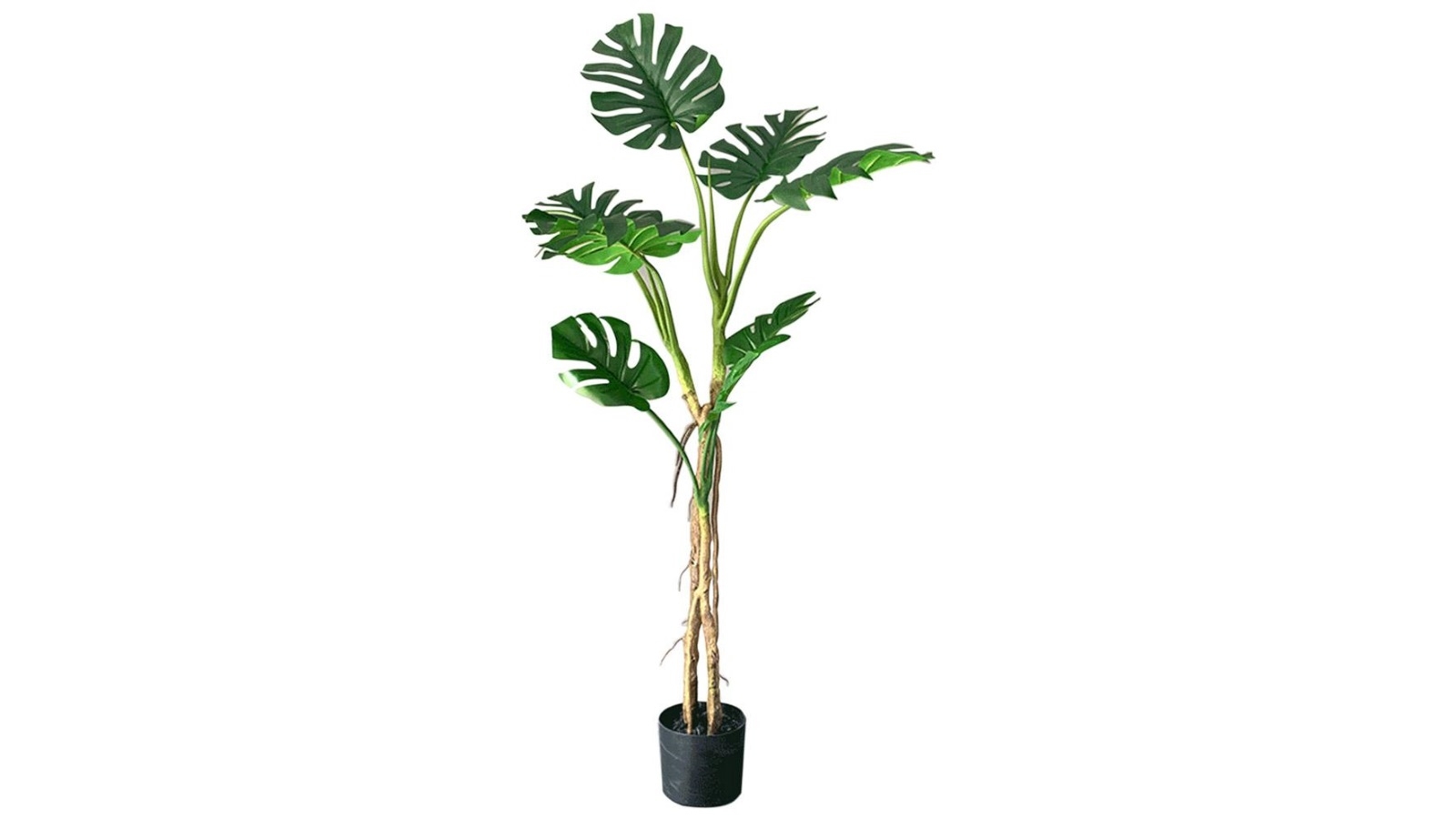 Soga Green Turtle Back Artificial Plant - 160cm