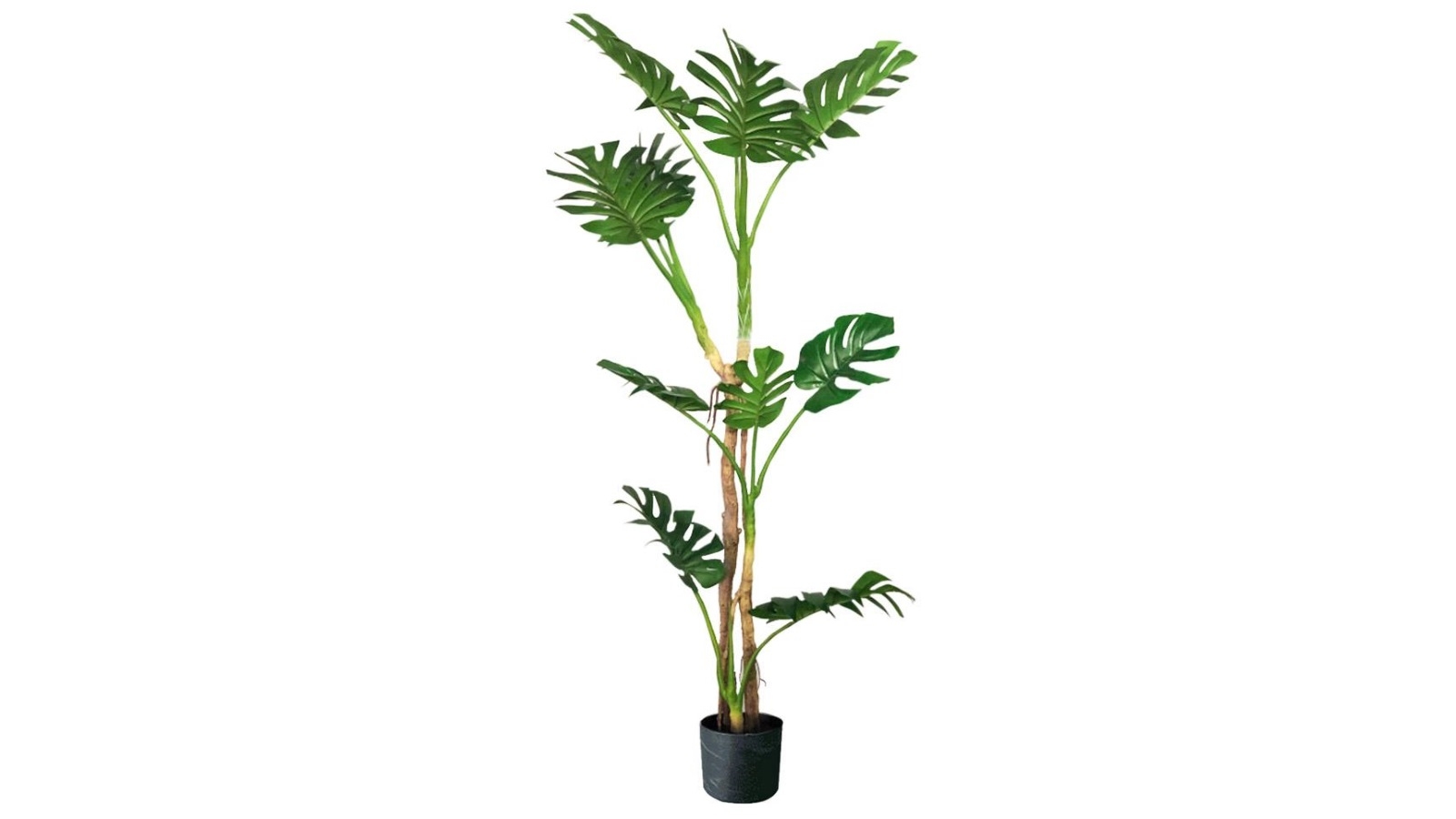 Soga Green Turtle Back Artificial Plant - 175cm