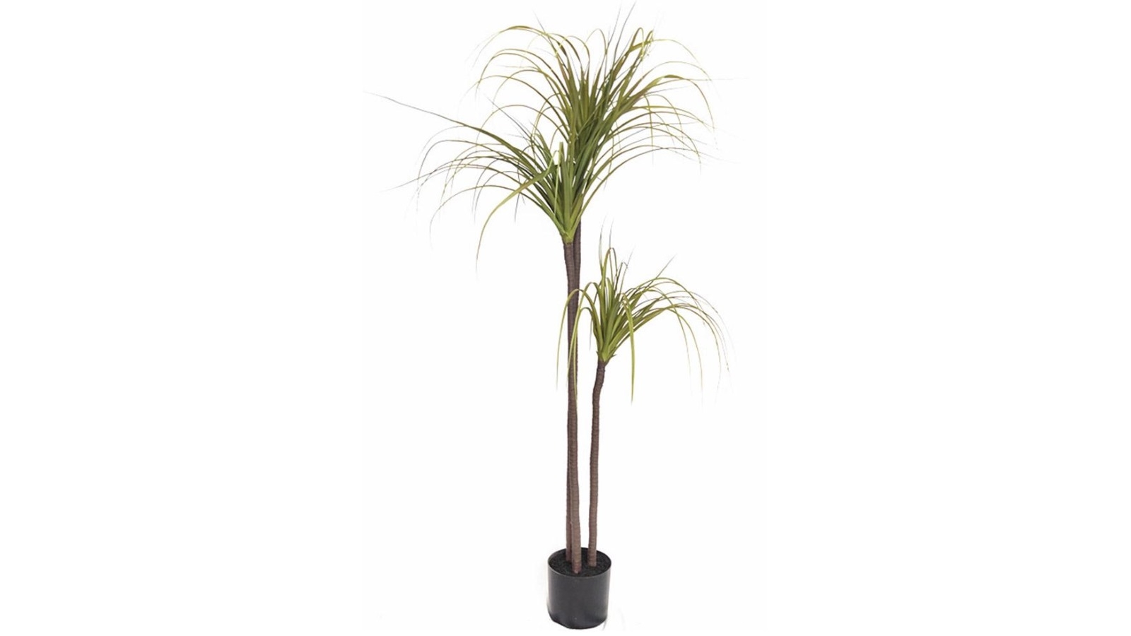 Soga Green Dragon Blood Tree Artificial Plant - 145cm