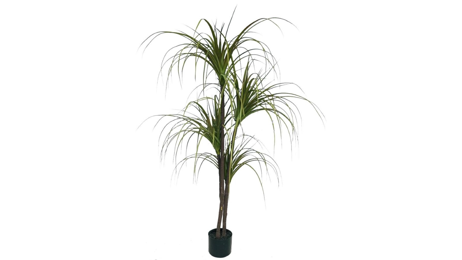 Soga Green Dragon Blood Tree Artificial Plant - 150cm
