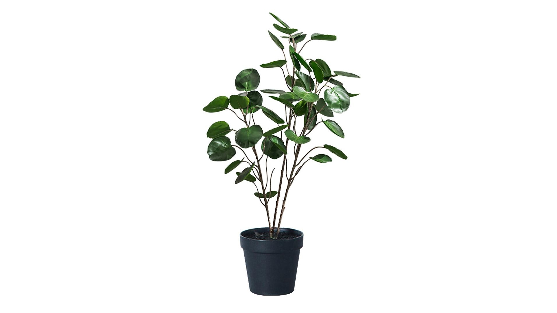 SOGA 95cm Artificial Pocket Money