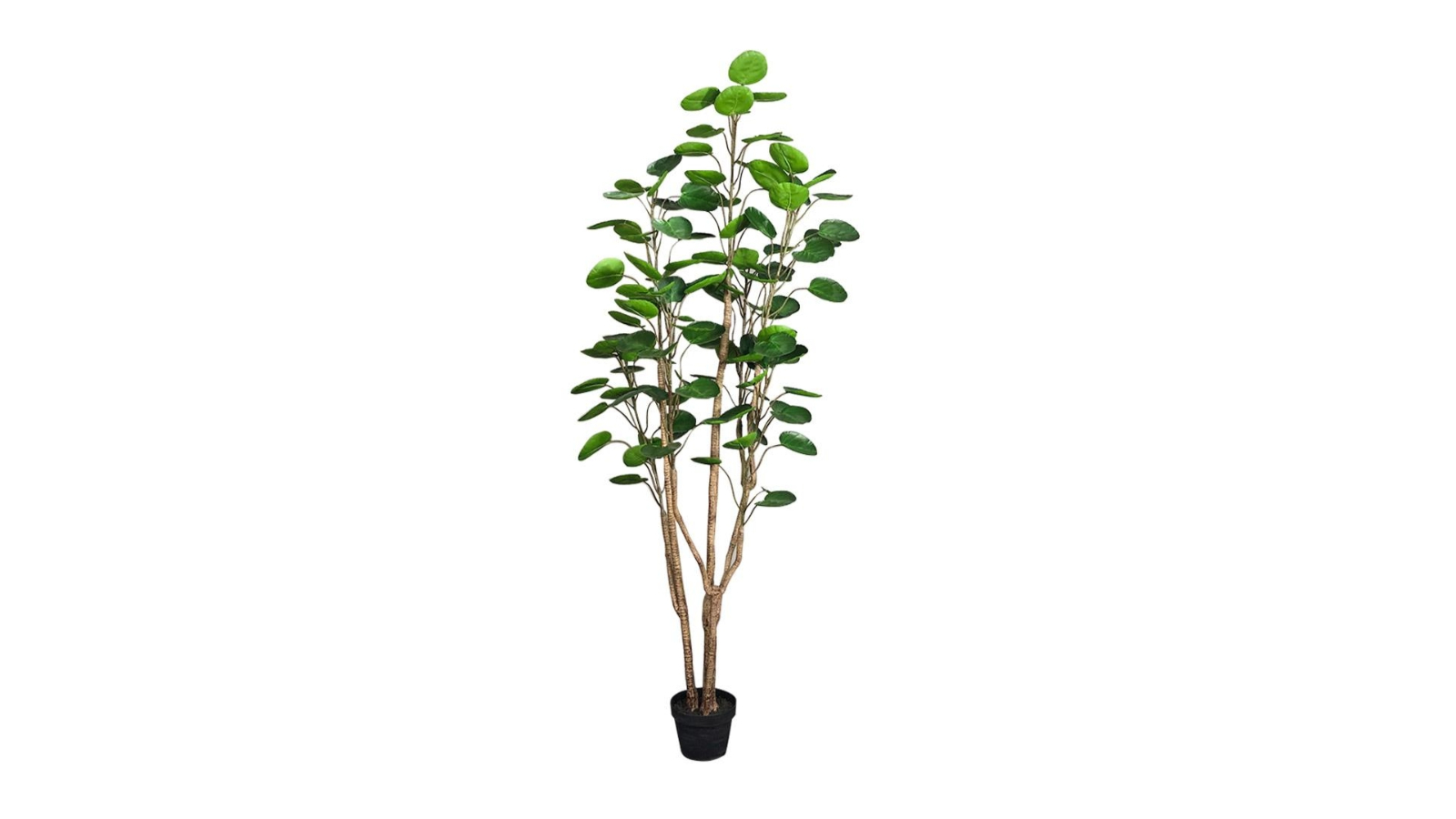 Soga Green Pocket Money Artificial Plant - 180cm