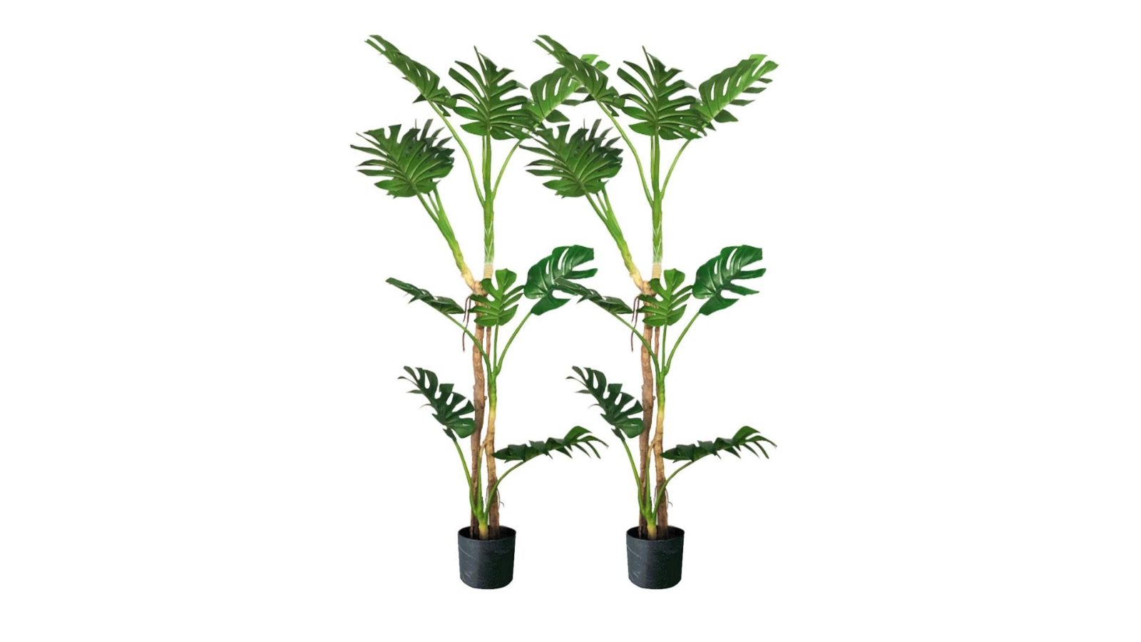 Soga 2 Piece Green Turtle Back Artificial Plant - 175cm