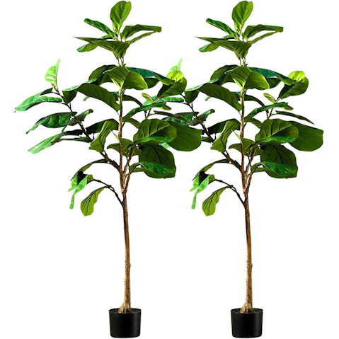 SOGA 2X 155cm Artificial Qin Yerong