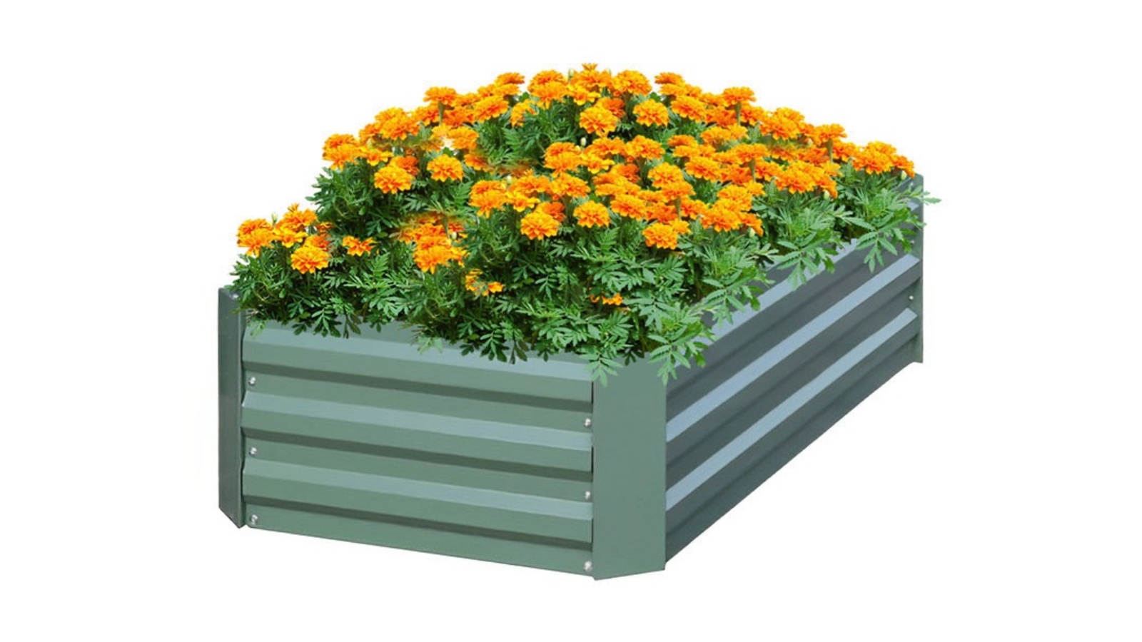Soga Green Rectangle Galvanised Raised Garden Bed - 60 x 120cm