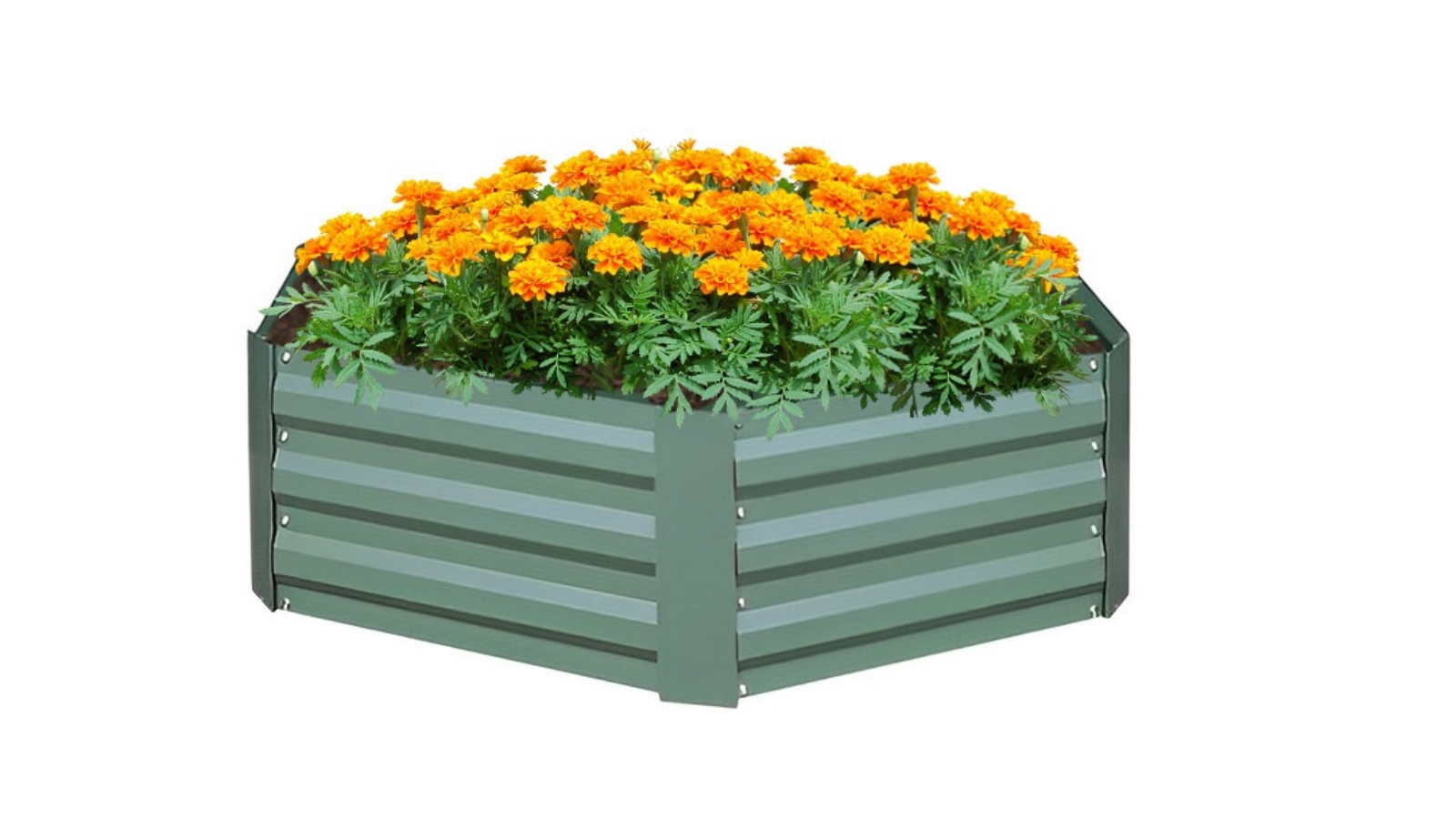 Soga Green Hexagon Galvanised Raised Garden Bed - 60 x 30cm