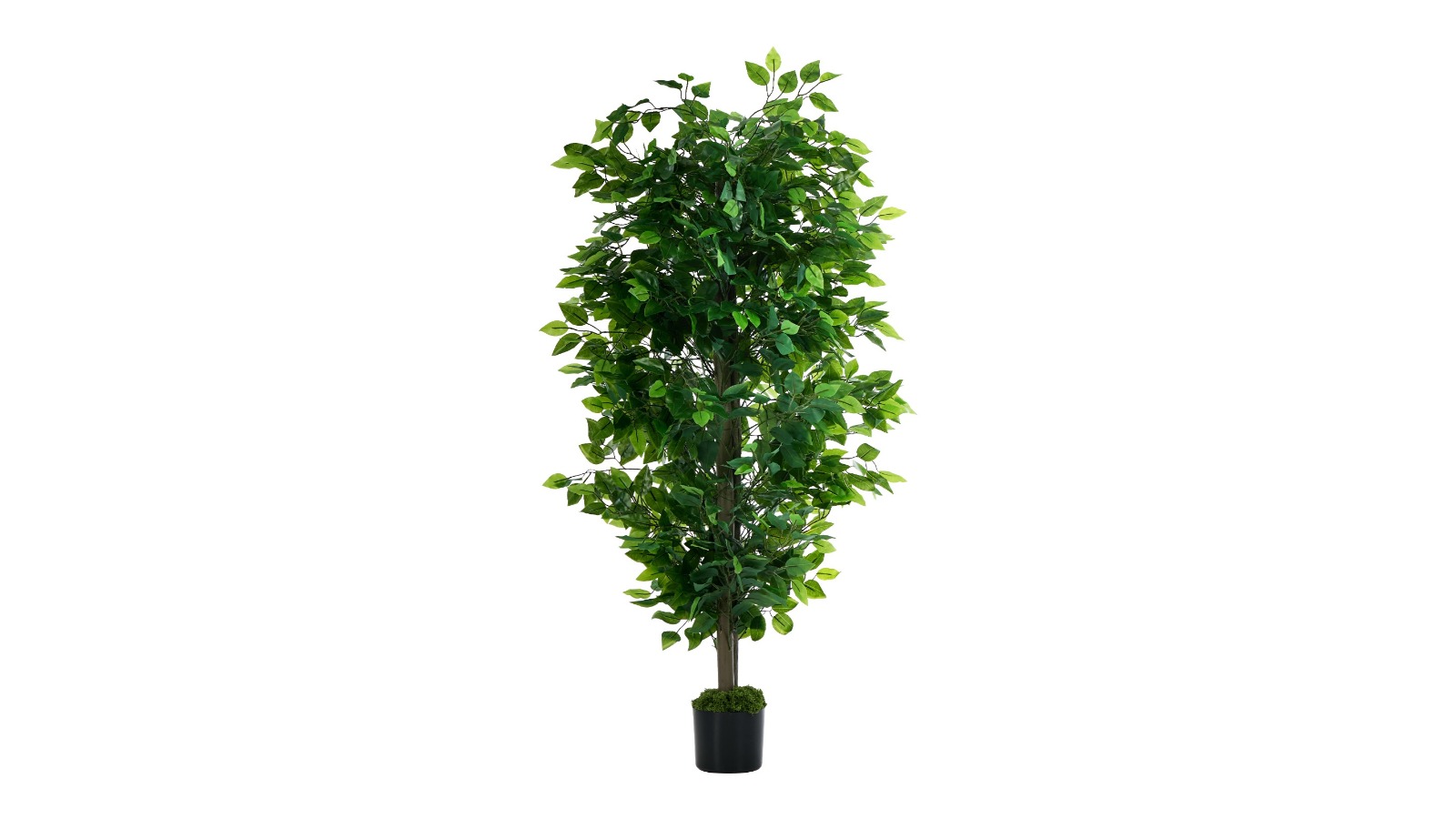 Livsip Artificial Ficus Tree - 150cm