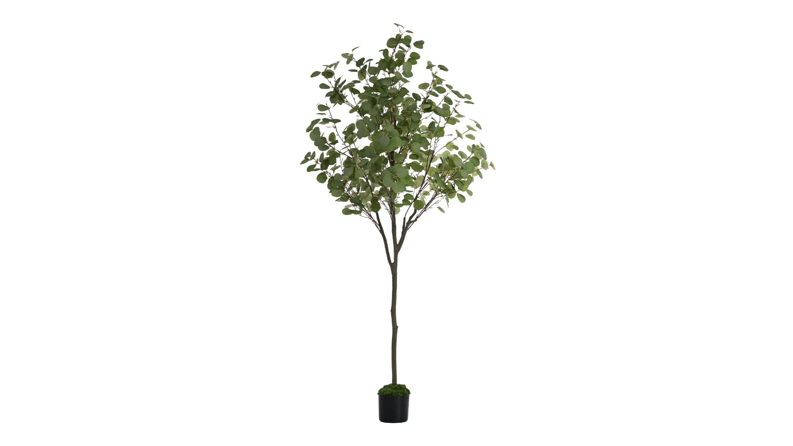 Livsip Artificial Eucalyptus Tree - 180cm