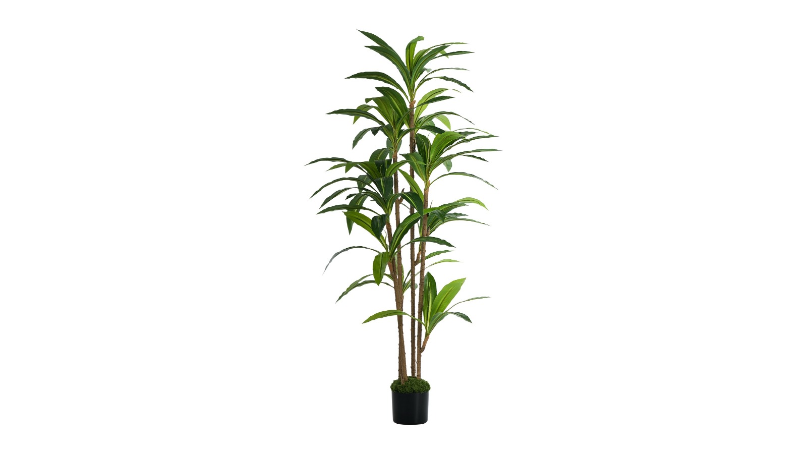 Livsip Artificial Dracaena Tree - 150cm