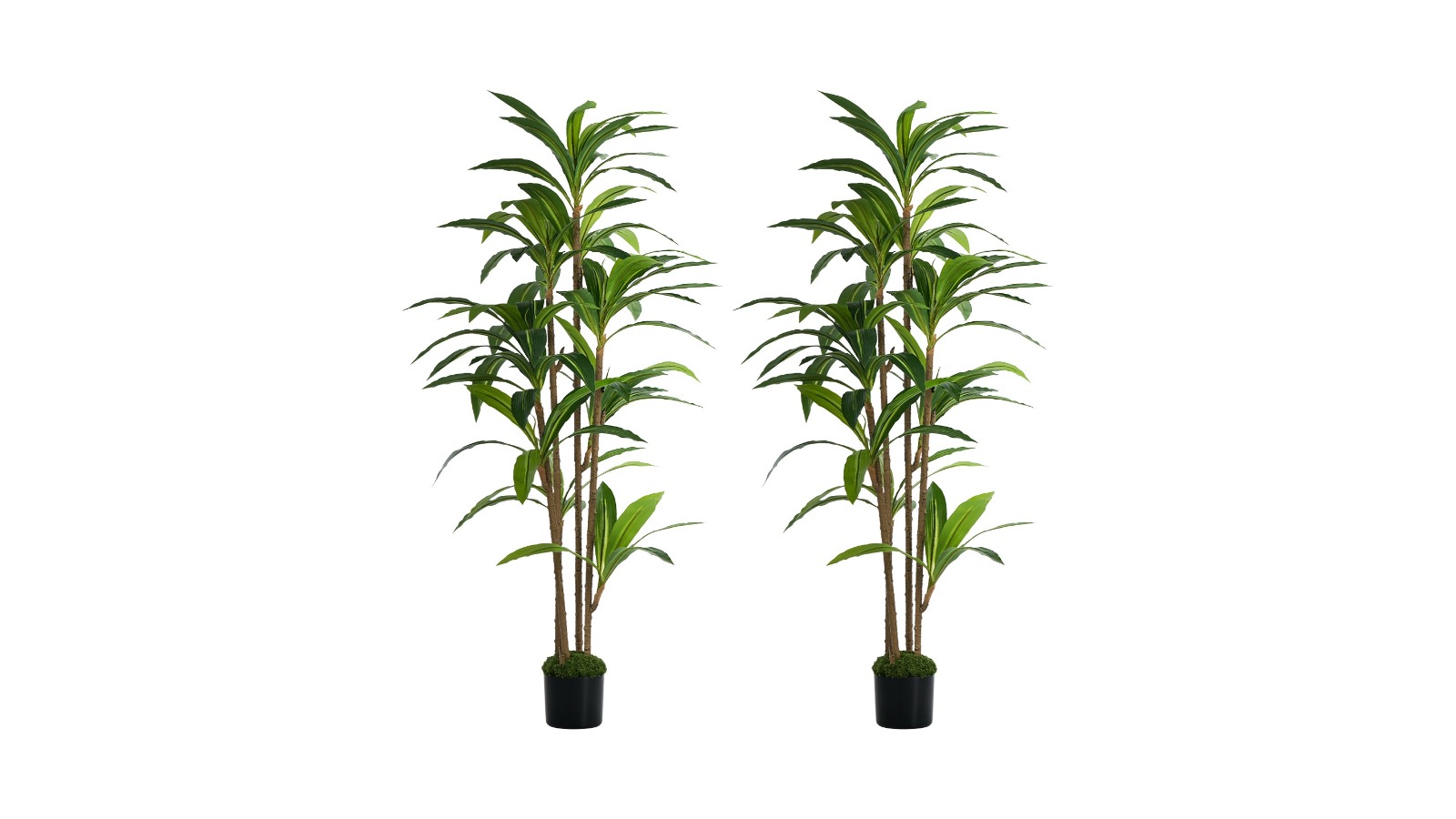Livsip 2 Piece Artificial Dracaena Tree - 150cm