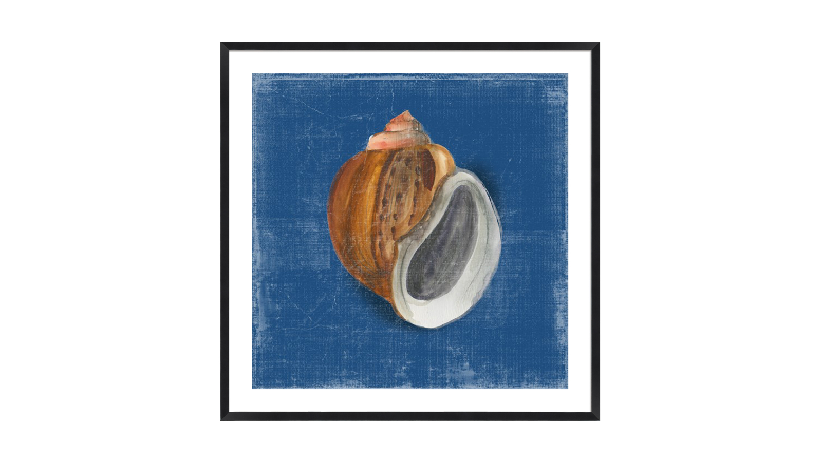 La Grolla Rosecliff Shell I Black Frame Wall Art - 94 x 94cm