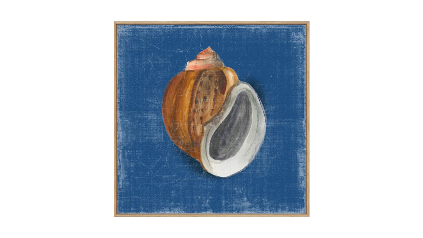 La Grolla Rosecliff Shell I Natural Gallery Wall Art - 67 x 67cm
