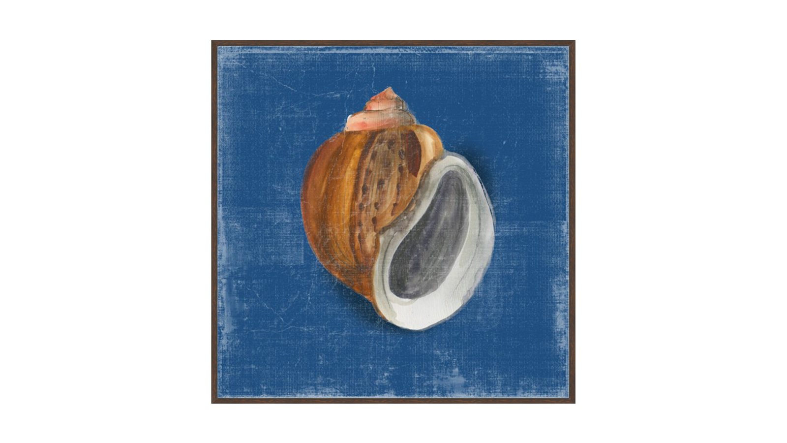 La Grolla Rosecliff Shell I Walnut Gallery Wall Art - 87 x 87cm