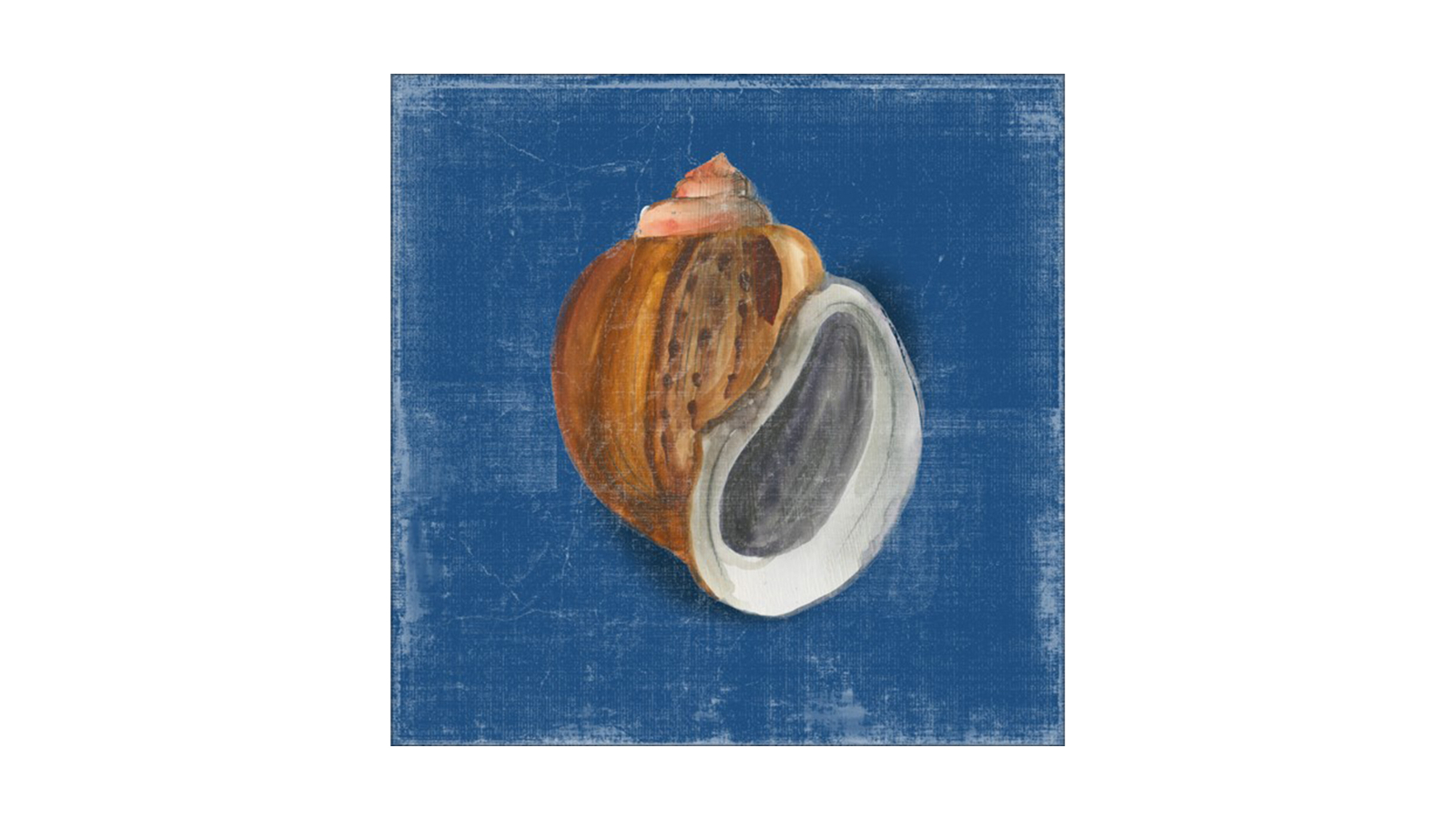 La Grolla Rosecliff Shell I Unframed Canvas Wall Art - 84 x 84cm