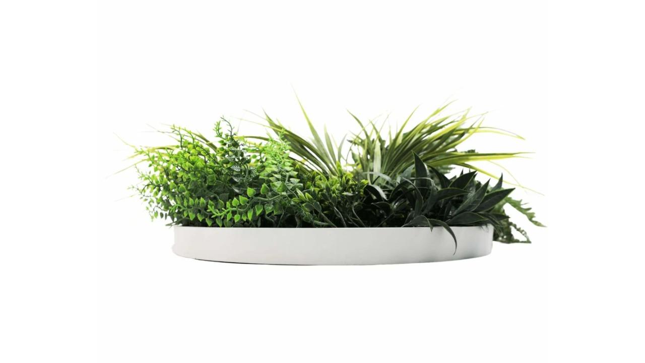 Designer Plants Grassy Slimline Artificial Green Wall White Disc Art - 50cm 