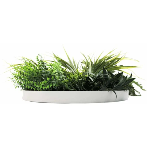 Designer Plants Grassy Slimline Artificial Green Wall White Disc Art - 50cm