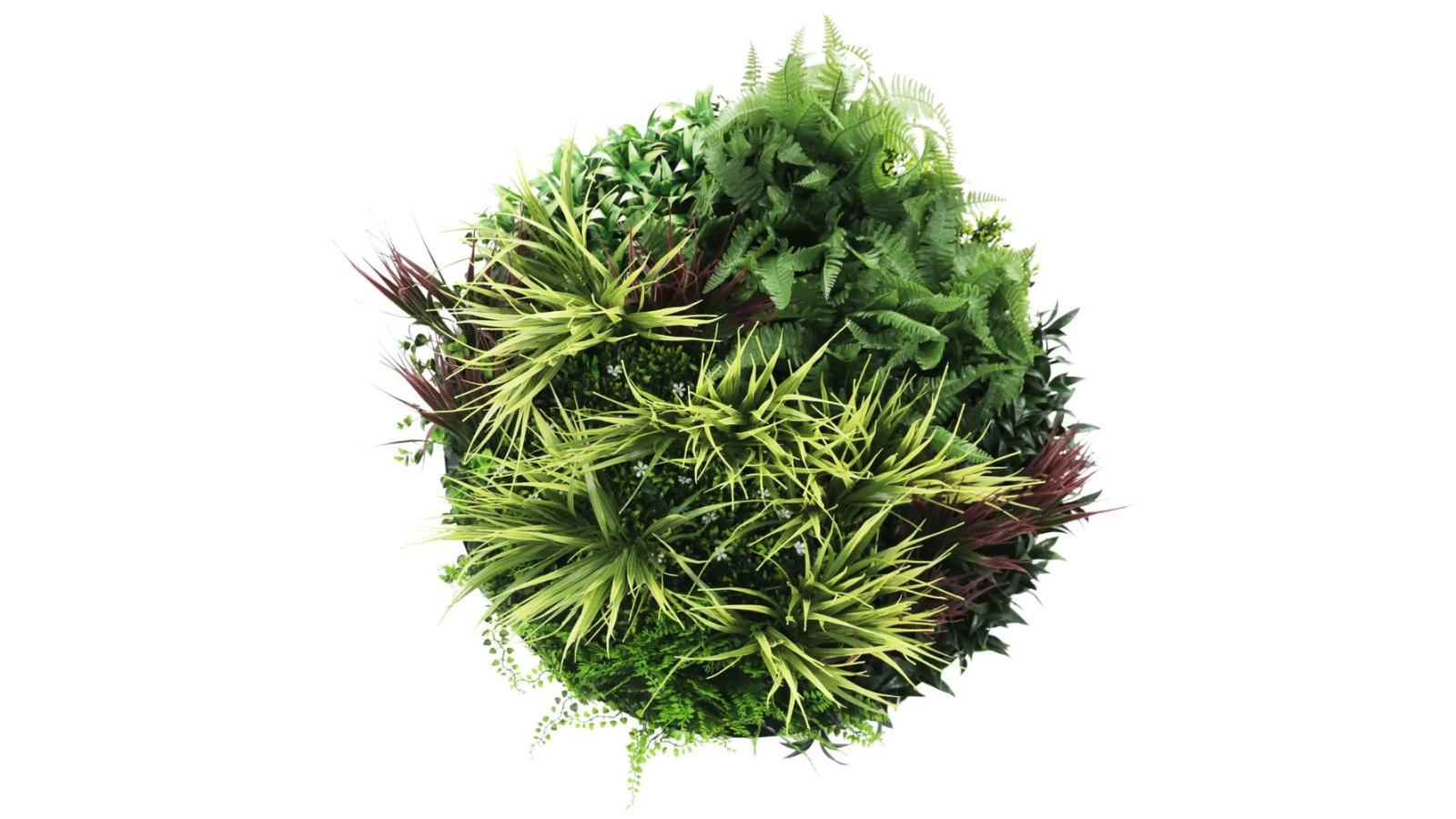 Designer Plants Grassy Fern Slimline Artificial Green Wall White Disc Art - 80cm