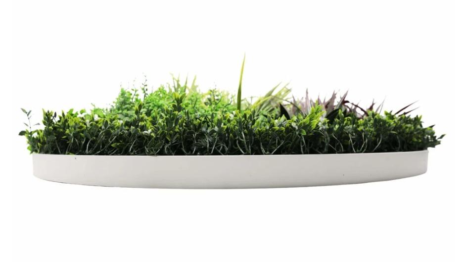 Designer Plants 100cm Grassy Fern Slimline Artificial Green Wall Disc Art - White