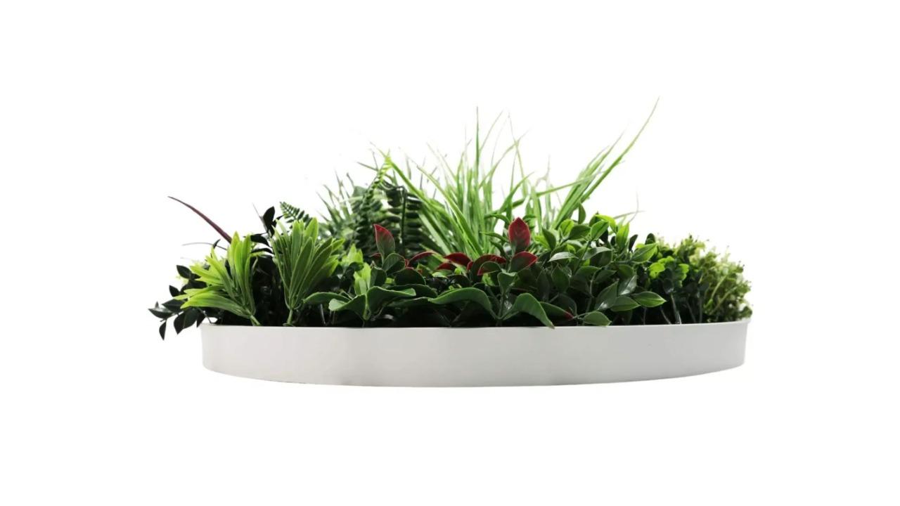 Designer Plants Colour Fresh Slimline Artificial Green Wall White Disc Art - 60cm 