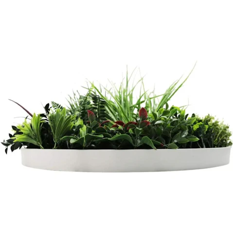 Designer Plants Colour Fresh Slimline Artificial Green Wall White Disc Art - 60cm