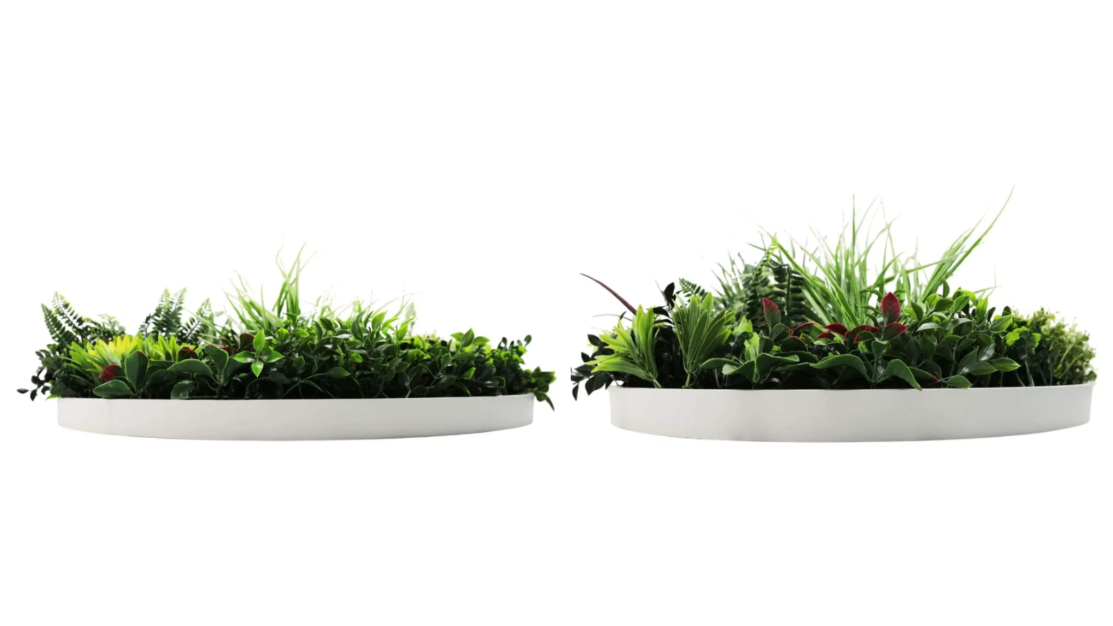 Designer Plants Colour Fresh Slimline Artificial Green Wall White Disc Art