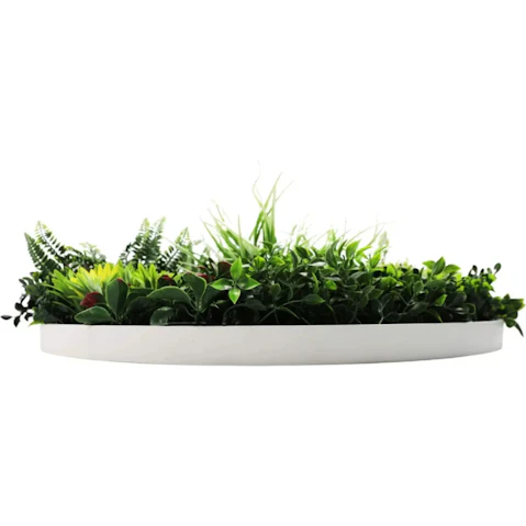 Designer Plants Colour Fresh Slimline Artificial Green Wall White Disc Art - 80cm