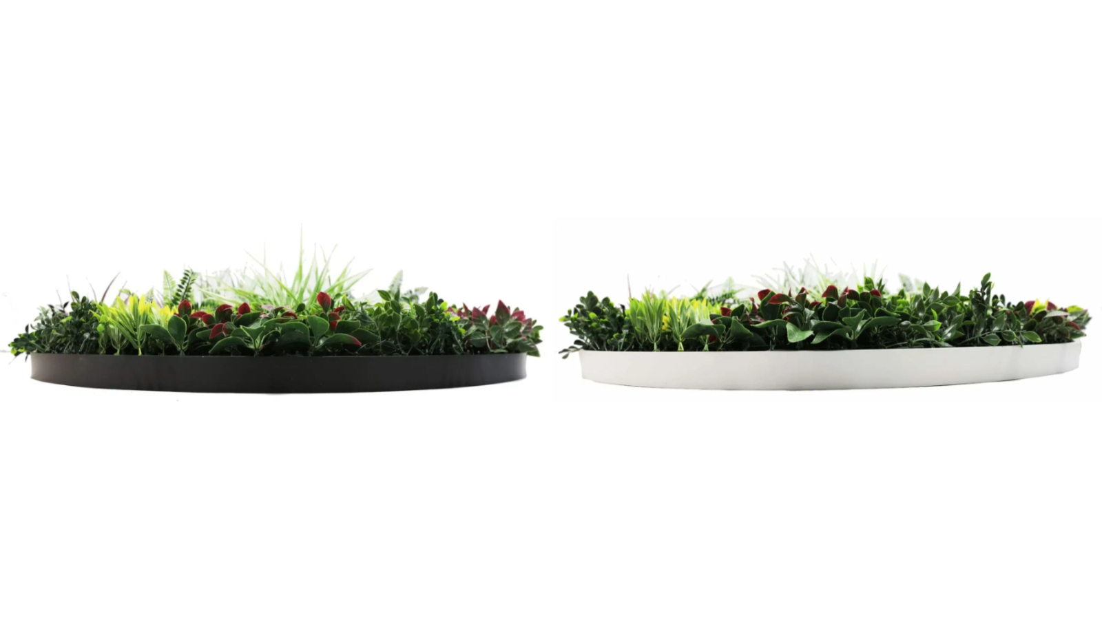 Designer Plants 100cm Colour Fresh Slimline Artificial Green Wall Disc Art
