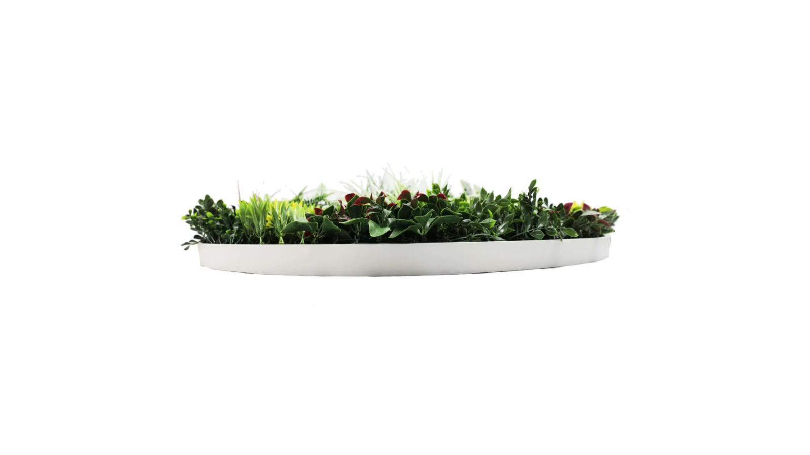 Designer Plants 100cm Colour Fresh Slimline Artificial Green Wall Disc Art - White