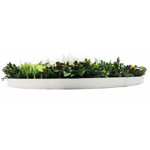 Designer Plants 100cm Colour Fresh Slimline Artificial Green Wall Disc Art - White