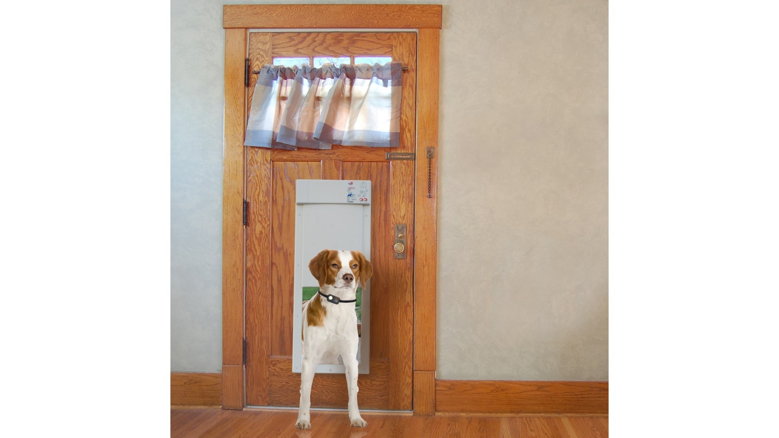 Pettecc High Tech Pet Auto Powered Pet Door Harvey Norman