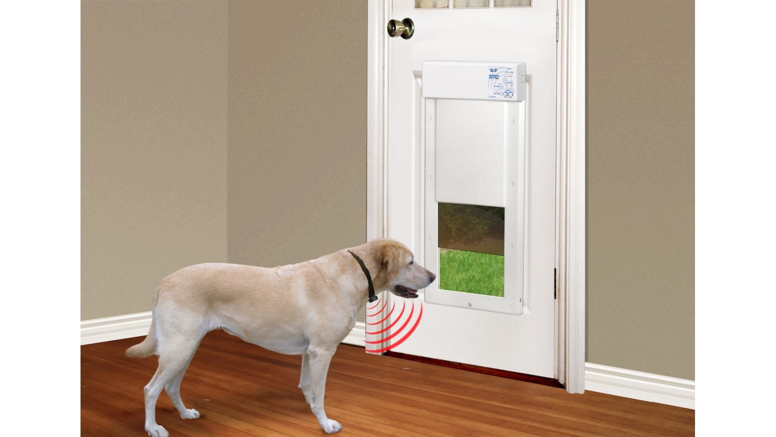 Pettecc High Tech Pet Auto Powered Pet Door Harvey Norman