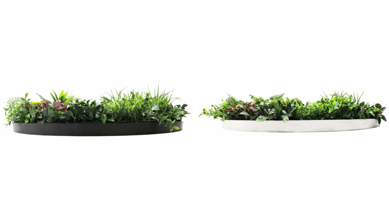 Designer Plants 100cm Country Fern Slimline Artificial Green Wall Disc Art