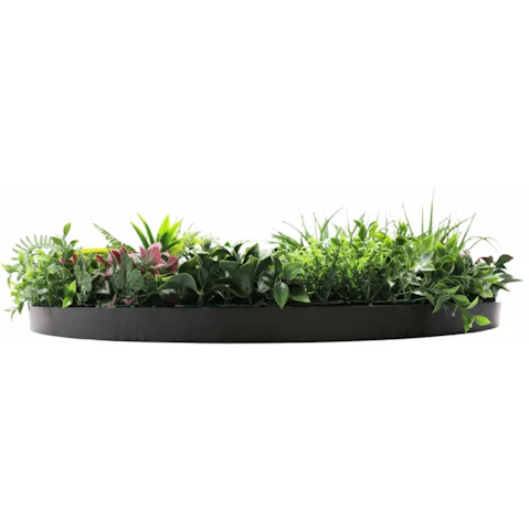 Designer Plants 100cm Country Fern Slimline Artificial Green Wall Disc Art - Black