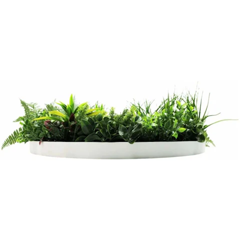 Designer Plants Country Fern Slimline Artificial Green Wall White Disc Art - 80cm