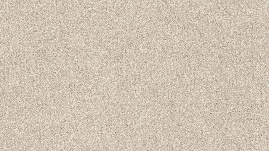 Stain Defence Lifestyle Regal Touch Carpet - Balmoral
