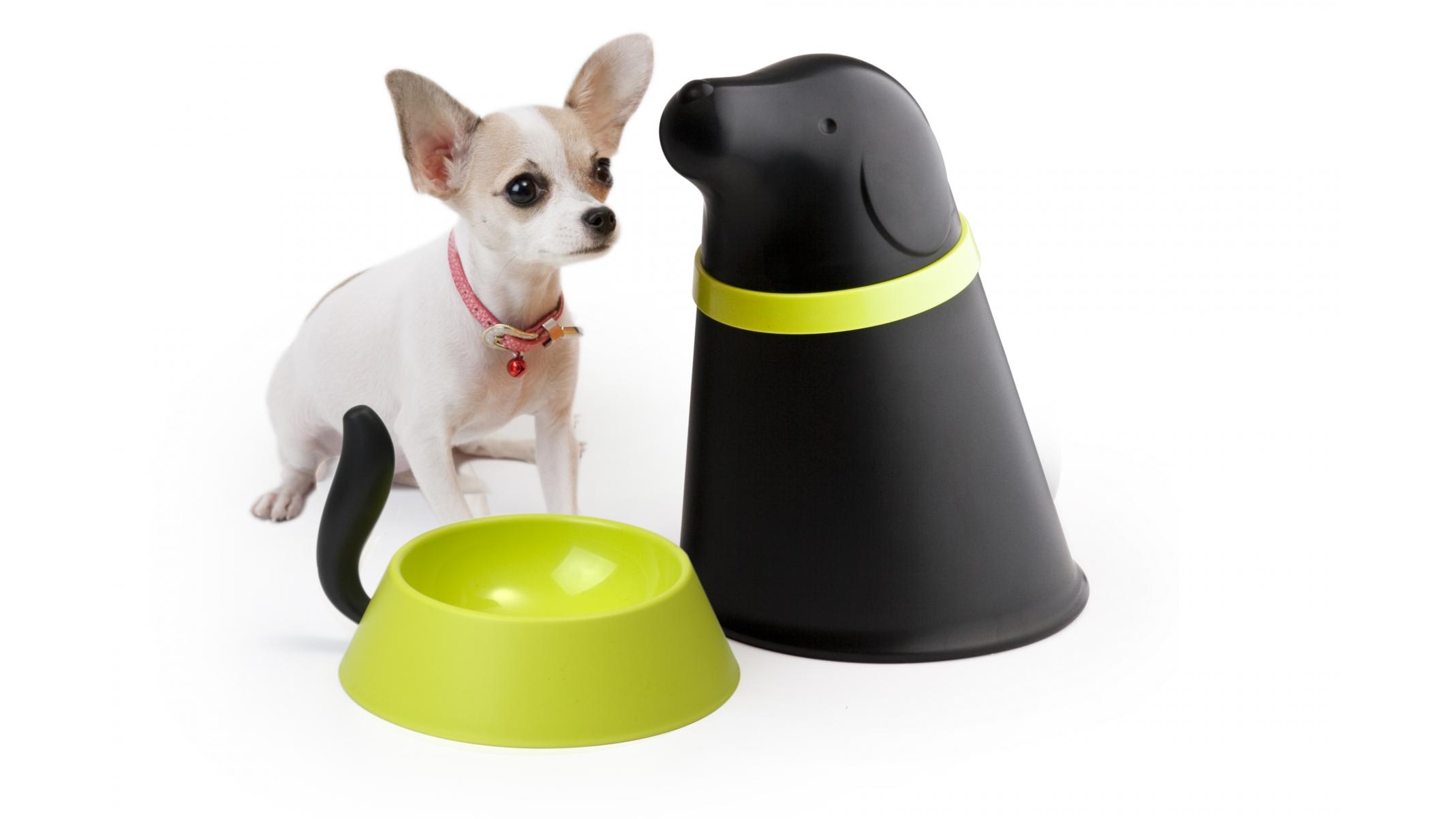 Qualy Pupp Pet Bowl with Storage - Black