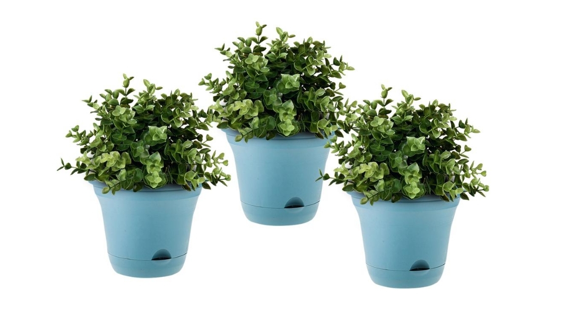 Soga Blue Self Watering Planter - Set of 3