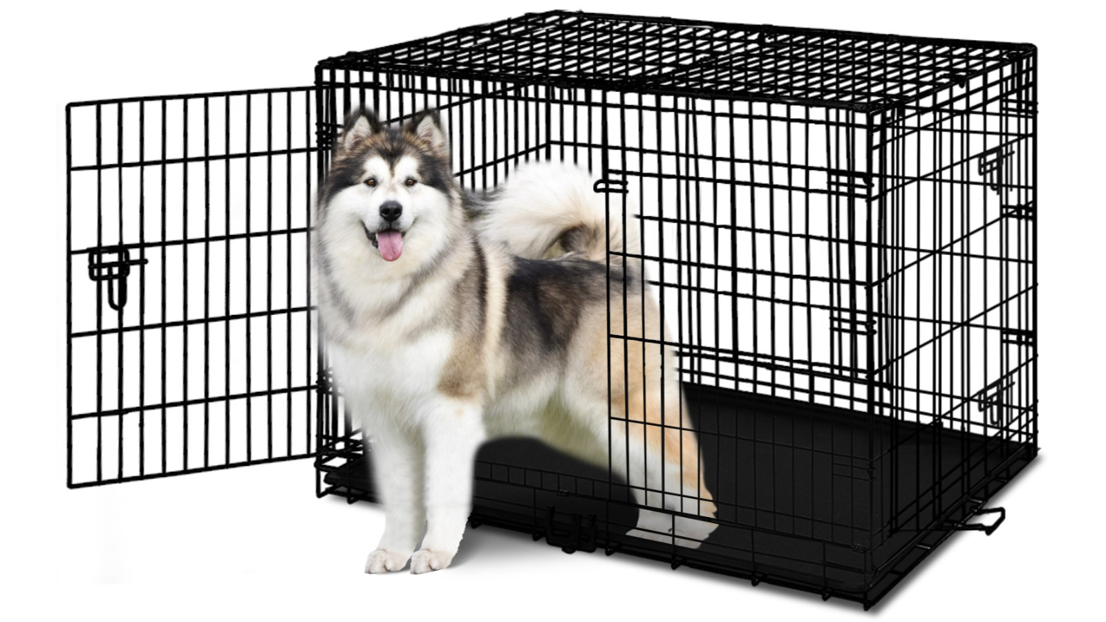 Beastie 48 inch Dog Cage Pet Crate Harvey Norman